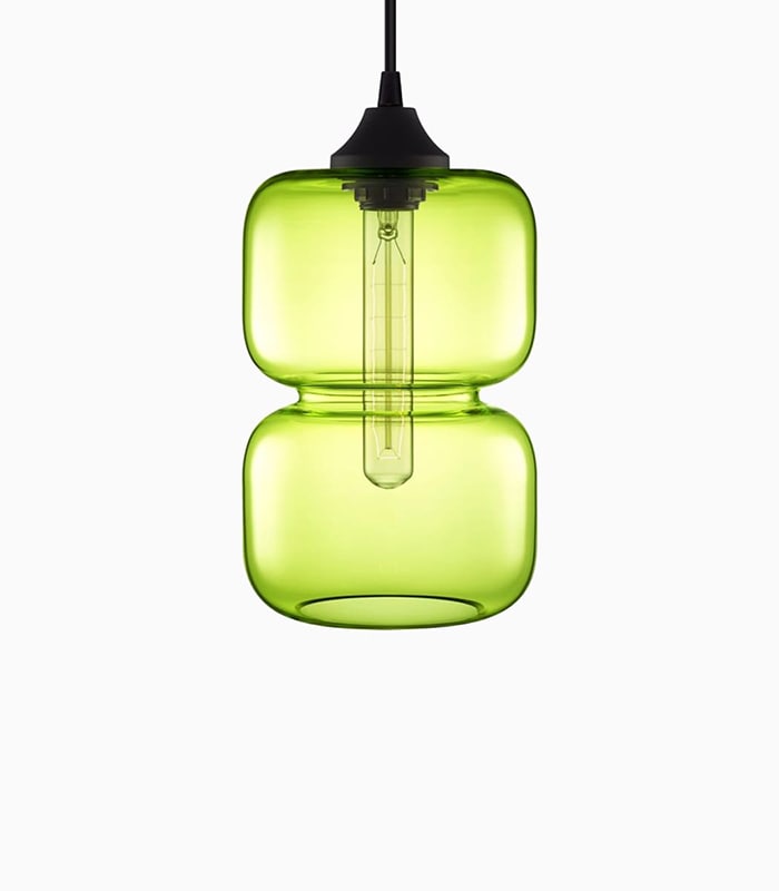 Henectus tincidunt – תמונה 2