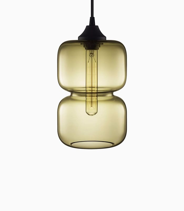 Henectus tincidunt – תמונה 4